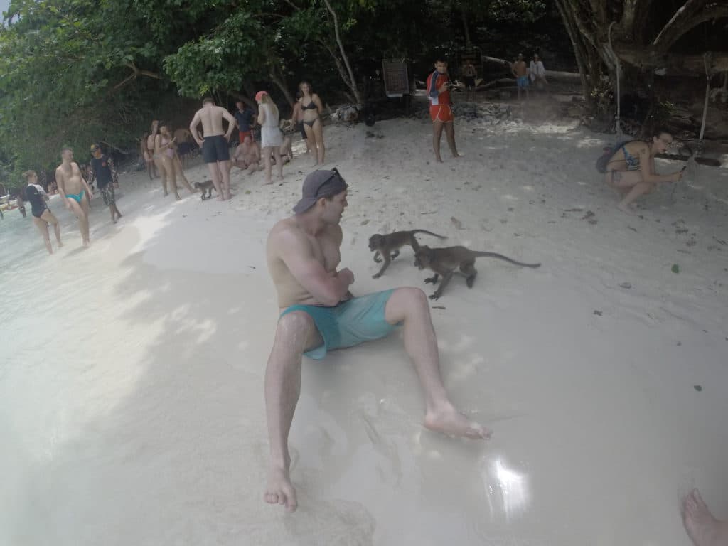 Monkey Beach - Thailand (Phi Phi Island)