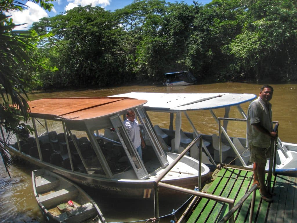 Playing with Wild Monkeys and Feeding Crocodiles