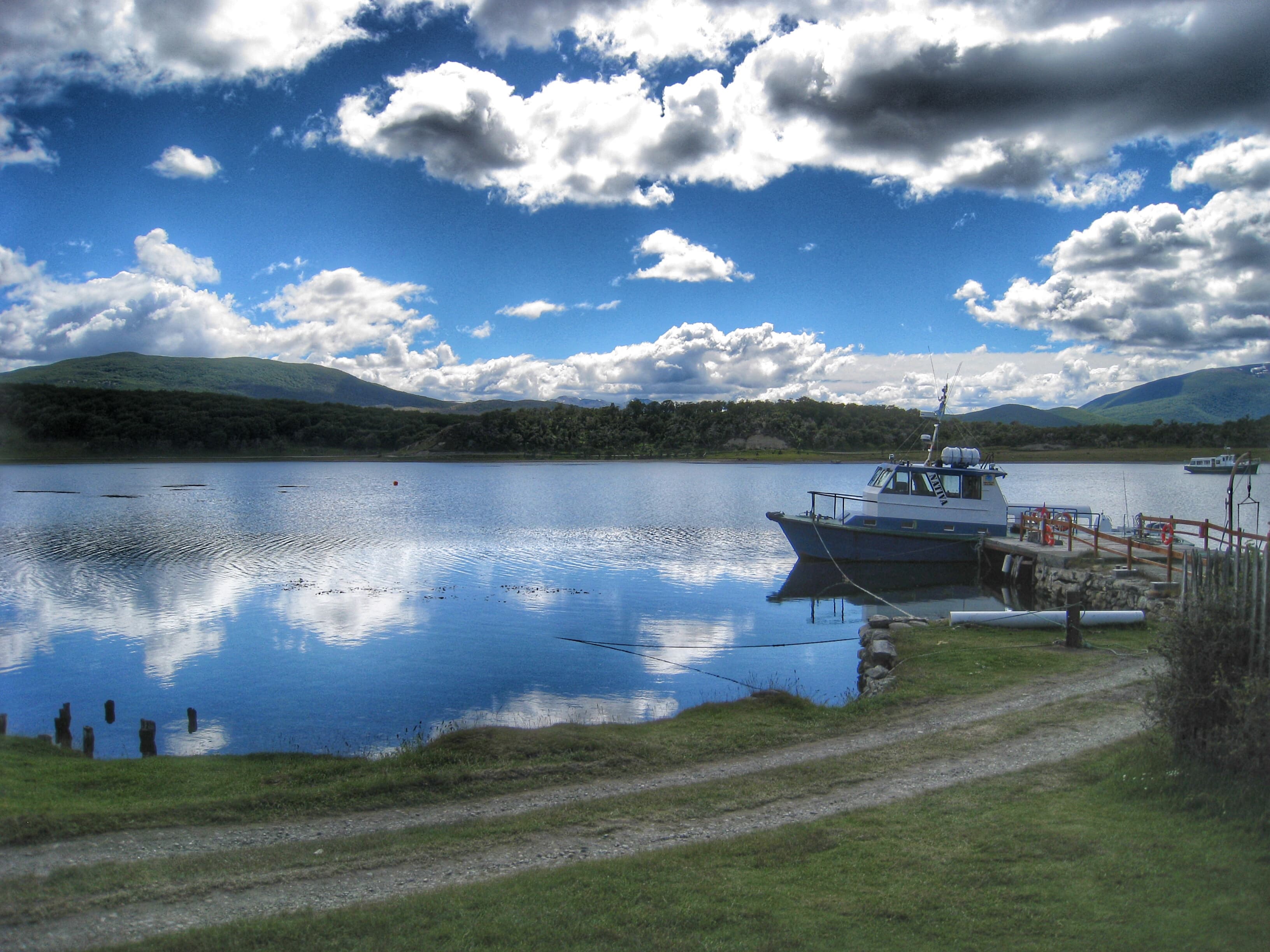 Meet and Greet with the Magellanic Penguins