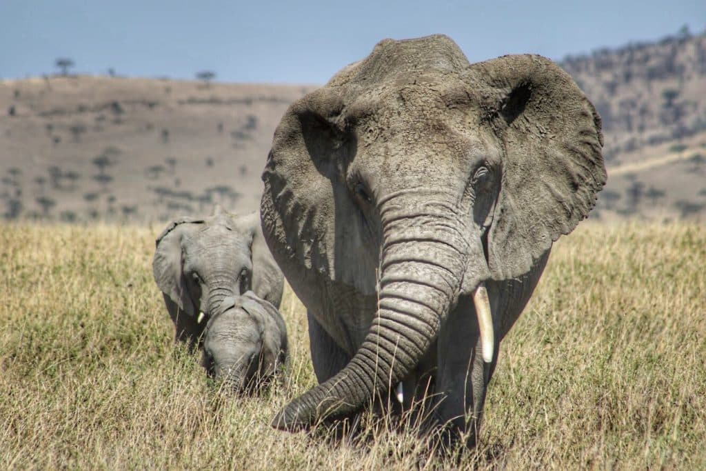 6 Epic Destinations for Adventurous Travelers